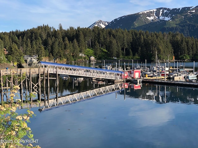 231 Main St, Seldovia, AK 99663 - dock area featuring a wooded view and a water and mountain view