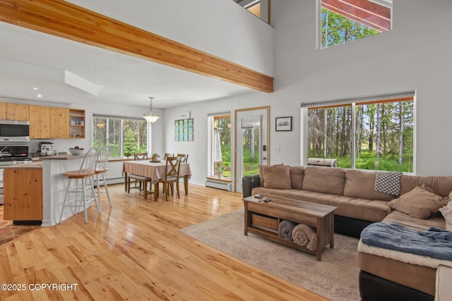 47000 Lexington Ct, Kenai, AK 99611 - living room featuring light wood-style flooring, a baseboard heating unit, and recessed lighting