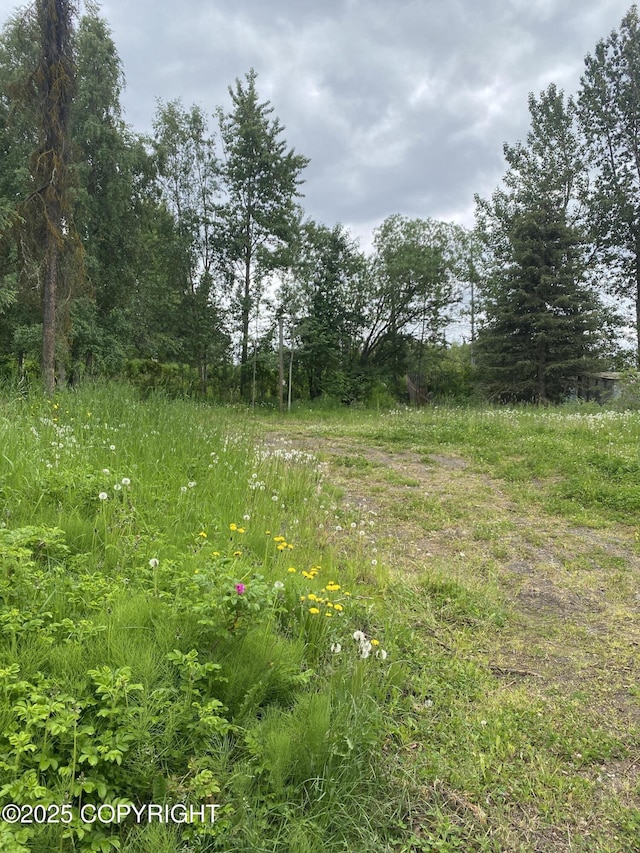 2100 Ivan Dr, Anchorage, AK 99507