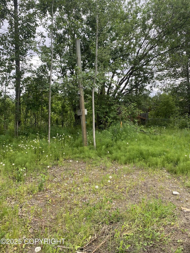 2100 Ivan Dr, Anchorage, AK 99507