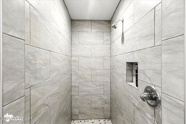 220 Susieana Ln, Kenai, AK 99611 - bathroom with tiled shower