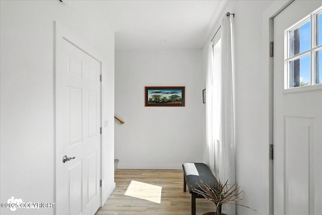 220 Susieana Ln, Kenai, AK 99611 - hallway with light wood-style floors