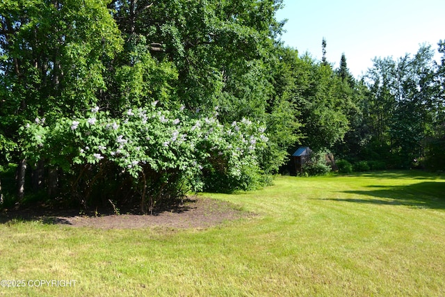 15100 Old Seward Hwy, Anchorage, AK 99516 - photo 13