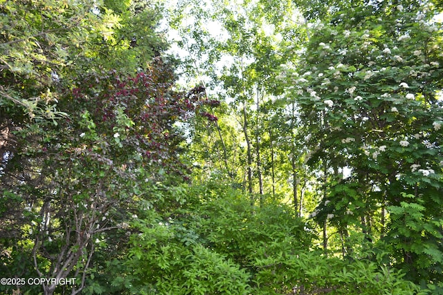 15100 Old Seward Hwy, Anchorage, AK 99516 - photo 15