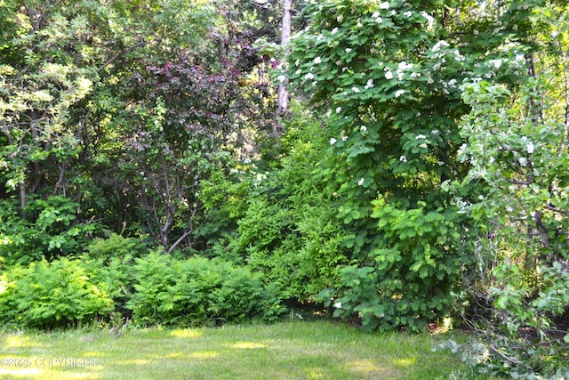 15100 Old Seward Hwy, Anchorage, AK 99516 - photo 18