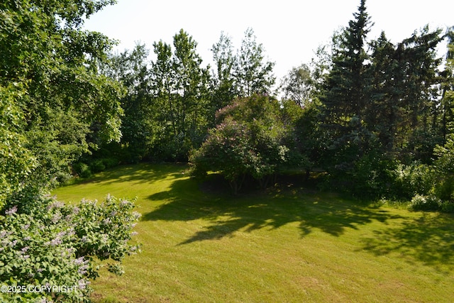 15100 Old Seward Hwy, Anchorage, AK 99516 - photo 35