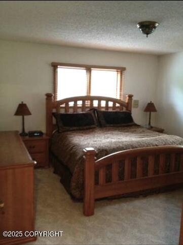 15100 Old Seward Hwy, Anchorage, AK 99516 - photo 44