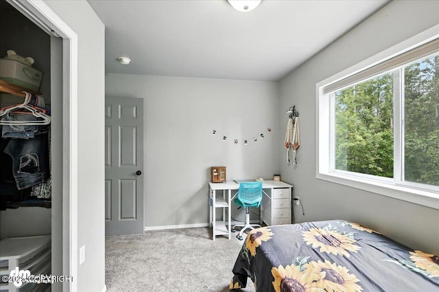 2660 N Jasper Dr, Wasilla, AK 99654 - bedroom featuring carpet flooring and baseboards