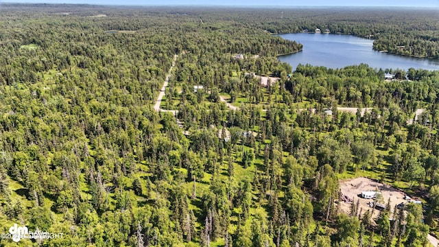 47459 Lakeside St, Nikiski/North Kenai, AK 99611 - bird's eye view of a forest and a nearby body of water