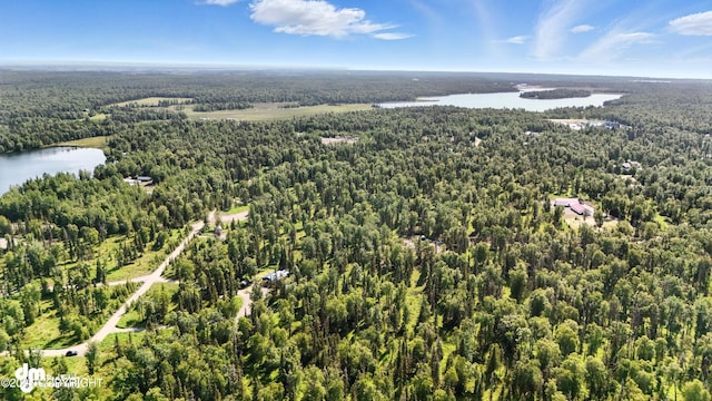 47459 Lakeside St, Nikiski/North Kenai, AK 99611 - aerial view of a forest and a large body of water