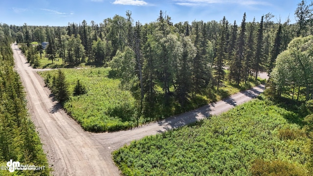47459 Lakeside St, Nikiski/North Kenai, AK 99611 - drone / aerial view of a forest