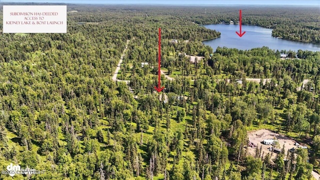47459 Lakeside St, Nikiski/North Kenai, AK 99611 - drone / aerial view of a heavily wooded area and a nearby body of water