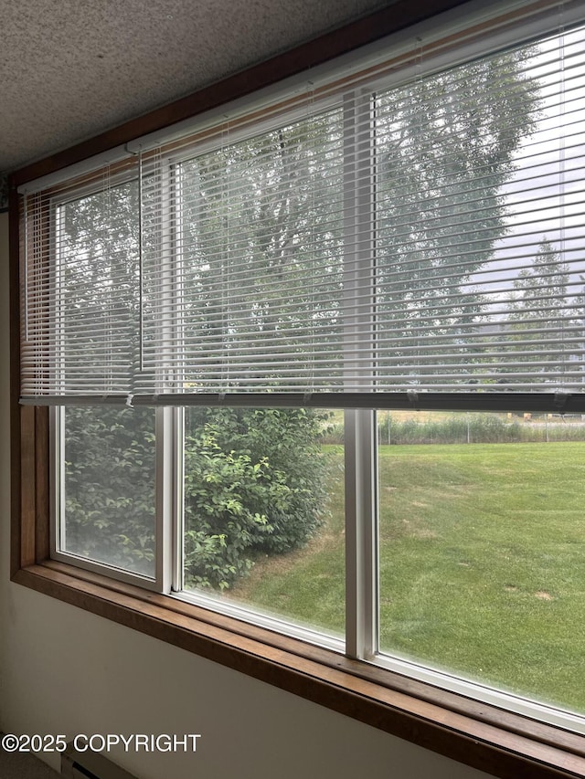302 Sweetgale Ct # 302, Anchorage, AK 99518 - detailed view of a textured ceiling