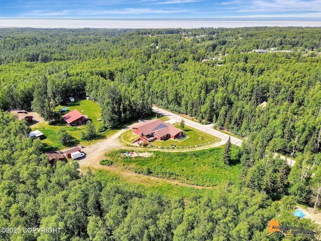 23324 Greatland Dr, Chugiak, AK 99577 - drone / aerial view of a forest