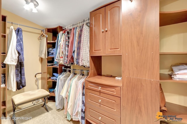 23324 Greatland Dr, Chugiak, AK 99577 - walk in closet featuring vaulted ceiling and carpet