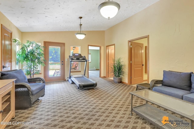 23324 Greatland Dr, Chugiak, AK 99577 - workout area featuring vaulted ceiling, carpet flooring, a textured ceiling, and a baseboard radiator