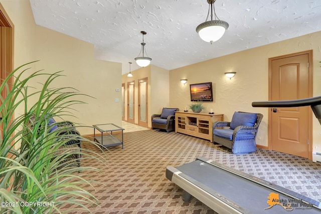 23324 Greatland Dr, Chugiak, AK 99577 - workout area featuring carpet flooring and a textured ceiling
