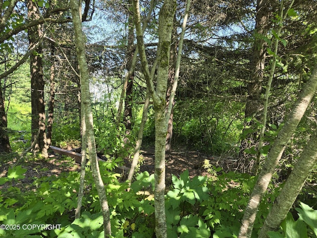 1620 Phoenix Rd, Seward, AK 99664 - photo 8