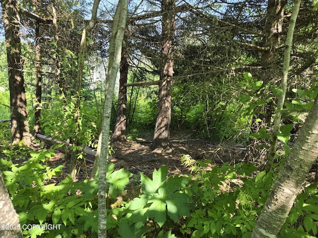 1620 Phoenix Rd, Seward, AK 99664 - photo 7
