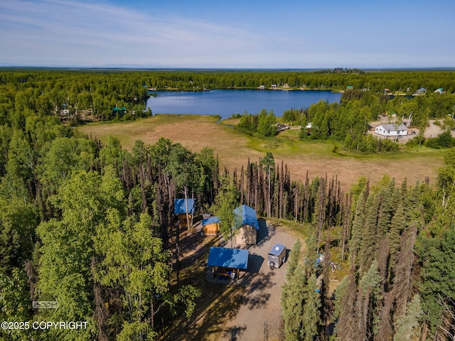 50735 S Silver Salmon Dr, Willow, AK 99688 - photo 2