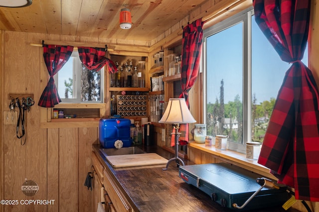 50735 S Silver Salmon Dr, Willow, AK 99688 - photo 20