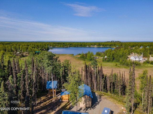 50735 S Silver Salmon Dr, Willow, AK 99688 - photo 37