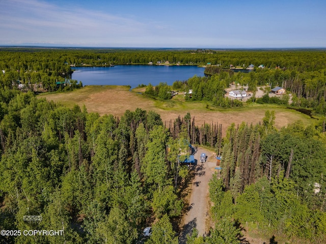 50735 S Silver Salmon Dr, Willow, AK 99688 - photo 38
