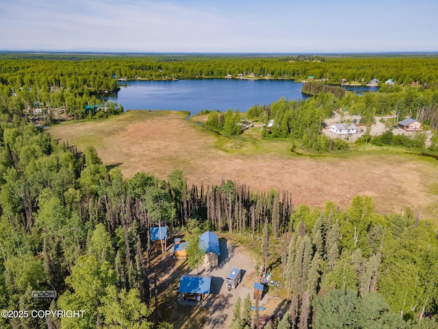 50735 S Silver Salmon Dr, Willow, AK 99688 - photo 40