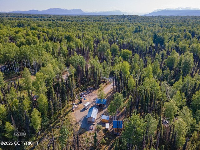 50735 S Silver Salmon Dr, Willow, AK 99688 - photo 41