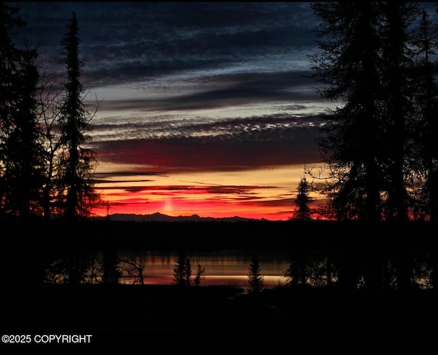 50735 S Silver Salmon Dr, Willow, AK 99688 - photo 56