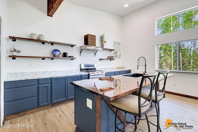 3528 S Mills Ct, Big Lake, AK 99623 - kitchen with stainless steel electric range oven, blue cabinetry, open shelves, light wood finished floors, and recessed lighting