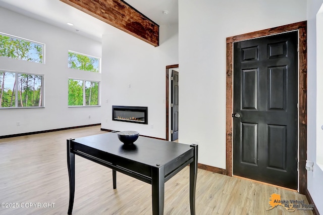3528 S Mills Ct, Big Lake, AK 99623 - living room featuring light wood-type flooring, a high ceiling, and a glass covered fireplace