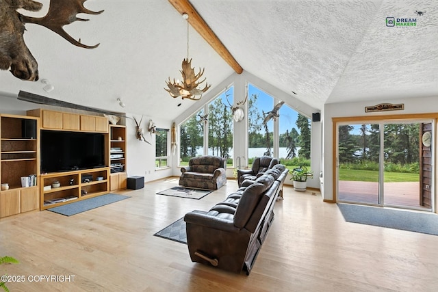 37385 Arctic Tern Rd, Soldotna, AK 99669 - photo 30