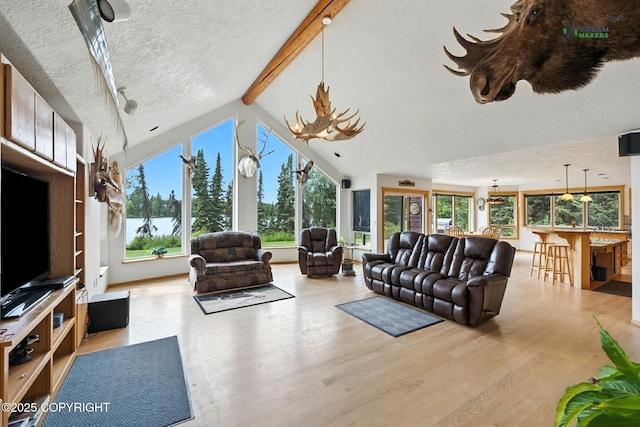 37385 Arctic Tern Rd, Soldotna, AK 99669 - photo 31