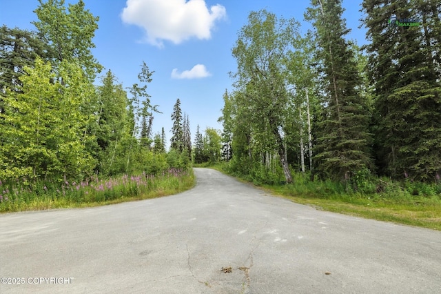 37385 Arctic Tern Rd, Soldotna, AK 99669 - photo 76