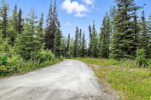 37385 Arctic Tern Rd, Soldotna, AK 99669 - photo 77