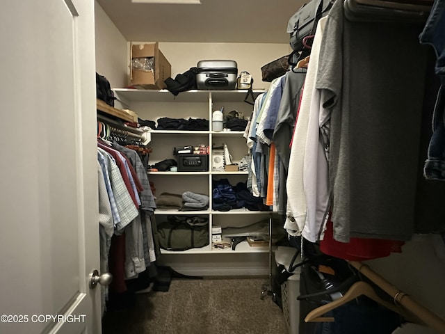 19343 Alma Ave, Chugiak, AK 99567 - walk in closet with carpet flooring