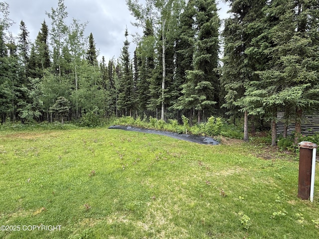 39740 Billikin St, Sterling, AK 99672 - view of grassy yard featuring a forest view
