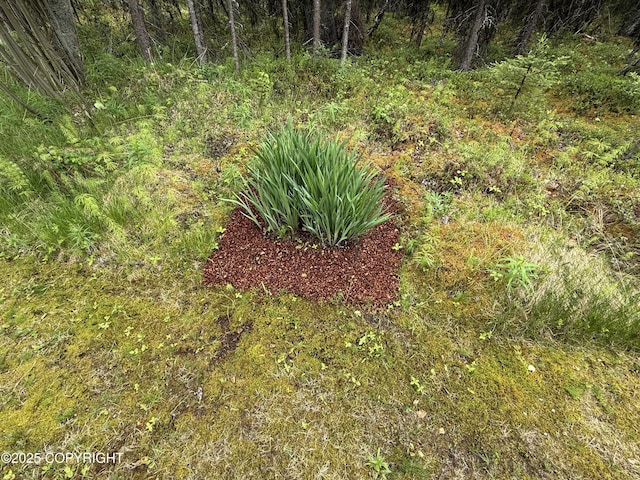 39740 Billikin St, Sterling, AK 99672 - view of nature