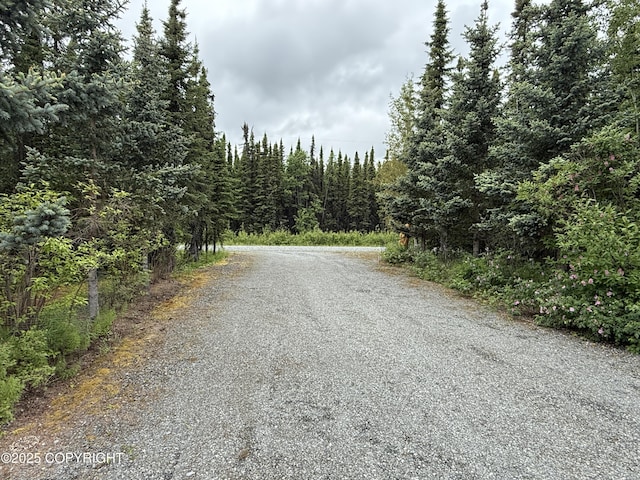 39740 Billikin St, Sterling, AK 99672 - view of road featuring a view of trees