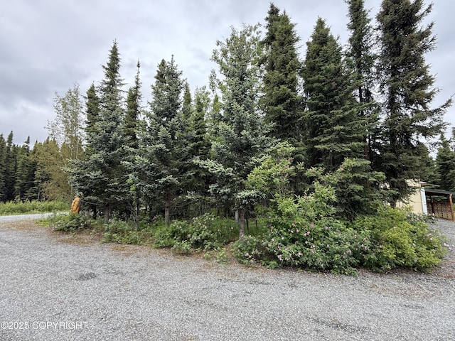 39740 Billikin St, Sterling, AK 99672 - view of dirt / gravel road featuring a forest view