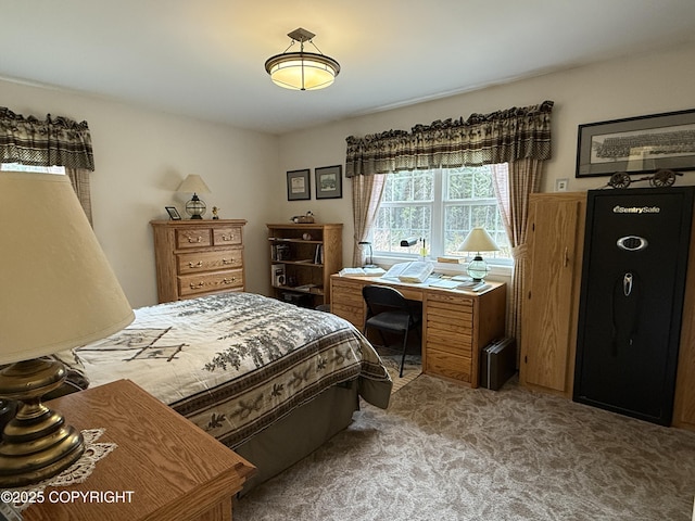 39740 Billikin St, Sterling, AK 99672 - view of carpeted bedroom