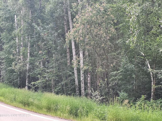 NHN Steele Creek Rd, Fairbanks, AK 99712