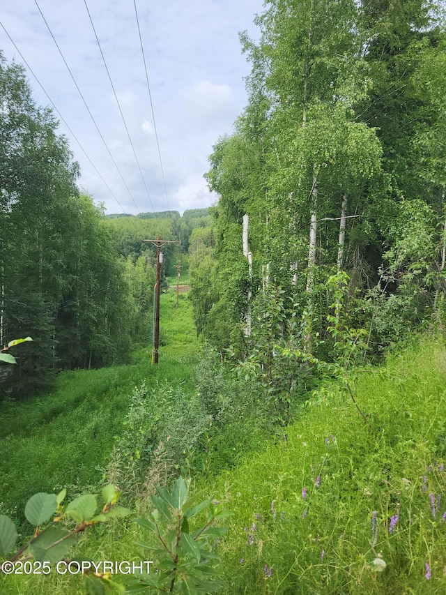 NHN Steele Creek Rd, Fairbanks, AK 99712