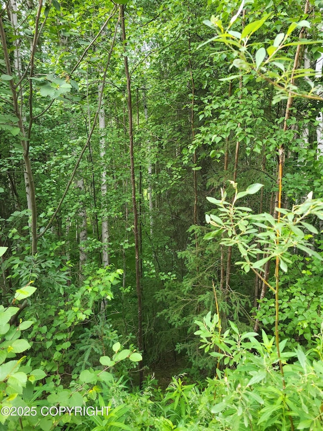 NHN Steele Creek Rd, Fairbanks, AK 99712
