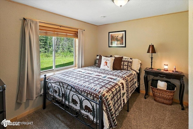 48416 Bernice Lake Rd, Nikiski/North Kenai, AK 99611 - carpeted bedroom with baseboards