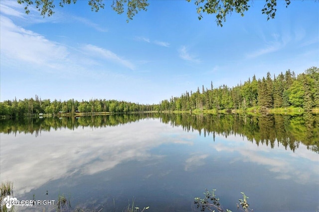 48416 Bernice Lake Rd, Nikiski/North Kenai, AK 99611 - water view featuring a heavily wooded area