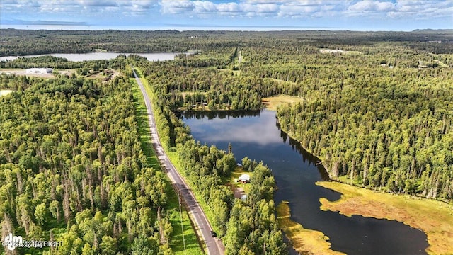 48416 Bernice Lake Rd, Nikiski/North Kenai, AK 99611 - bird's eye view of a forest and a nearby body of water