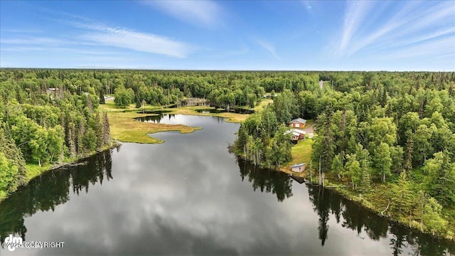 48416 Bernice Lake Rd, Nikiski/North Kenai, AK 99611 - aerial view of a heavily wooded area and a nearby body of water