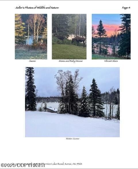 48416 Bernice Lake Rd, Nikiski/North Kenai, AK 99611 - view of a document with a collage of images